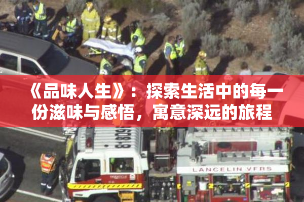 《品味人生》：探索生活中的每一份滋味与感悟，寓意深远的旅程