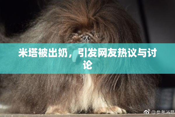 米塔被出奶，引发网友热议与讨论