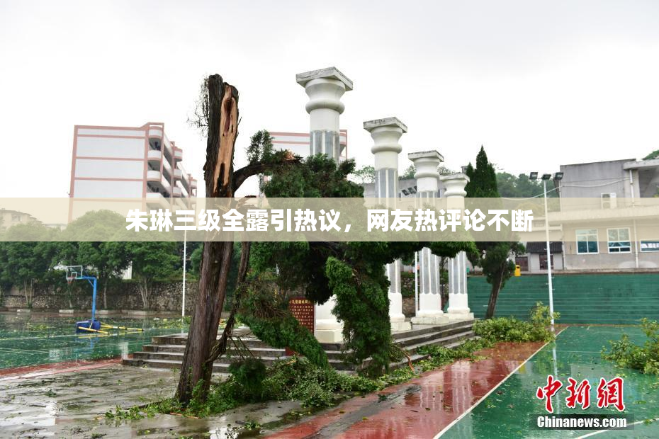 朱琳三级全露引热议，网友热评论不断