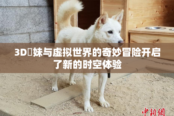 3D姉妹与虚拟世界的奇妙冒险开启了新的时空体验