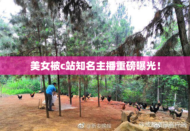 美女被c站知名主播重磅曝光！