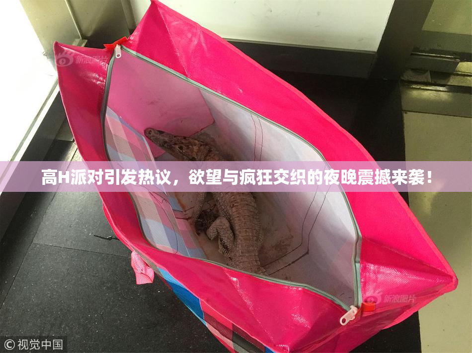 高H派对引发热议，欲望与疯狂交织的夜晚震撼来袭！