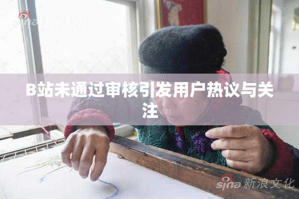 B站未通过审核引发用户热议与关注