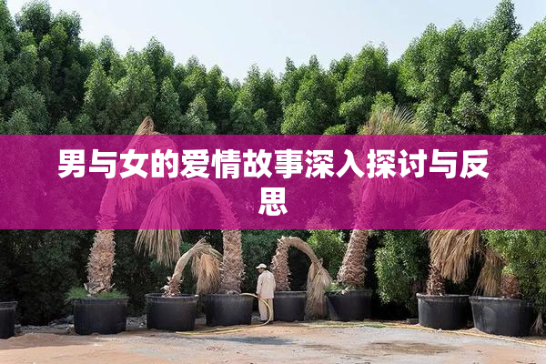 男与女的爱情故事深入探讨与反思