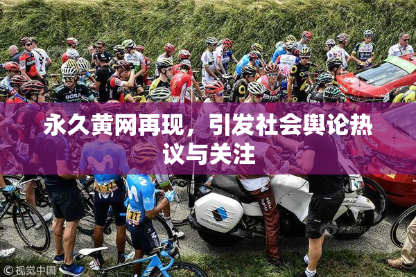 永久黄网再现，引发社会舆论热议与关注
