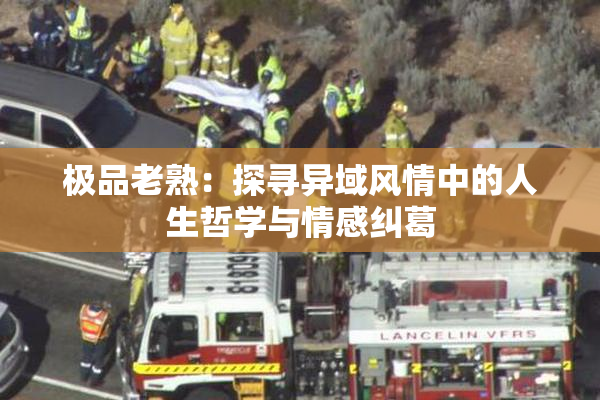 极品老熟：探寻异域风情中的人生哲学与情感纠葛