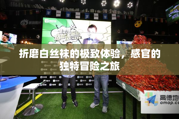 折磨白丝袜的极致体验，感官的独特冒险之旅