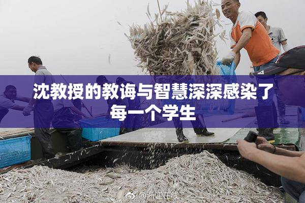 沈教授的教诲与智慧深深感染了每一个学生