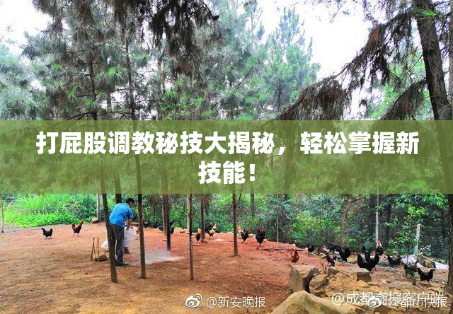 打屁股调教秘技大揭秘，轻松掌握新技能！