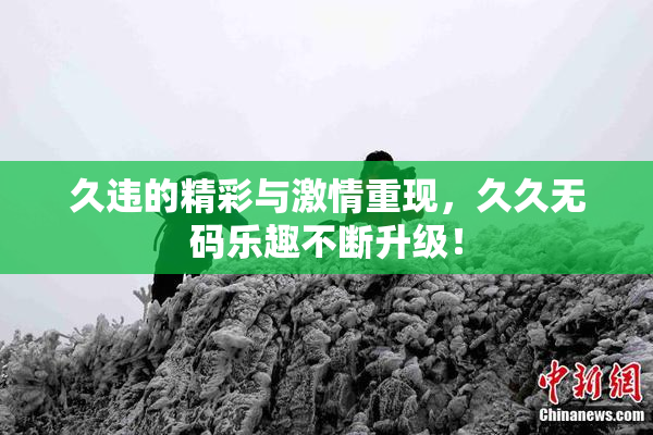 久违的精彩与激情重现，久久无码乐趣不断升级！