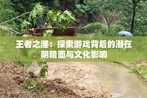 王者之淫：探索游戏背后的潜在阴暗面与文化影响