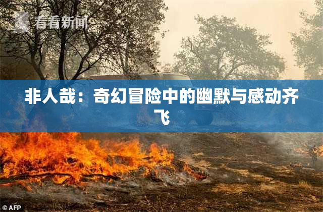 非人哉：奇幻冒险中的幽默与感动齐飞