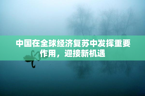 中国在全球经济复苏中发挥重要作用，迎接新机遇