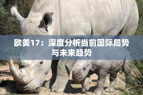 欧美17：深度分析当前国际局势与未来趋势
