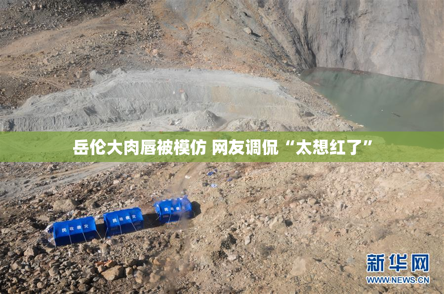 岳伦大肉唇被模仿 网友调侃“太想红了”