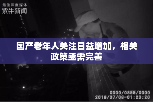 国产老年人关注日益增加，相关政策亟需完善