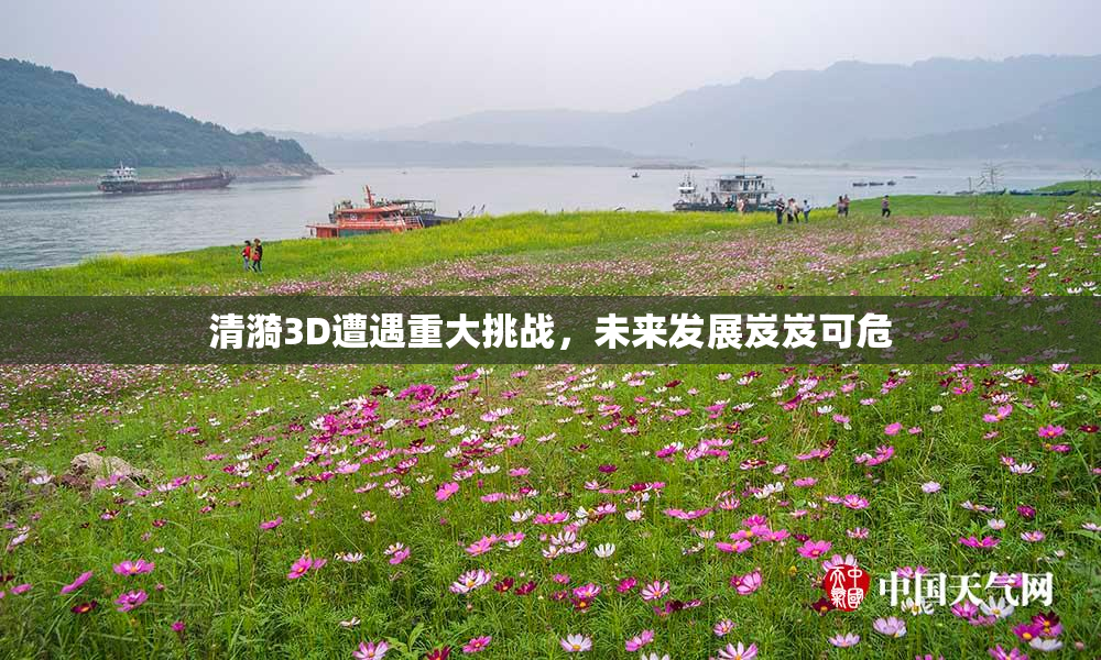 清漪3D遭遇重大挑战，未来发展岌岌可危