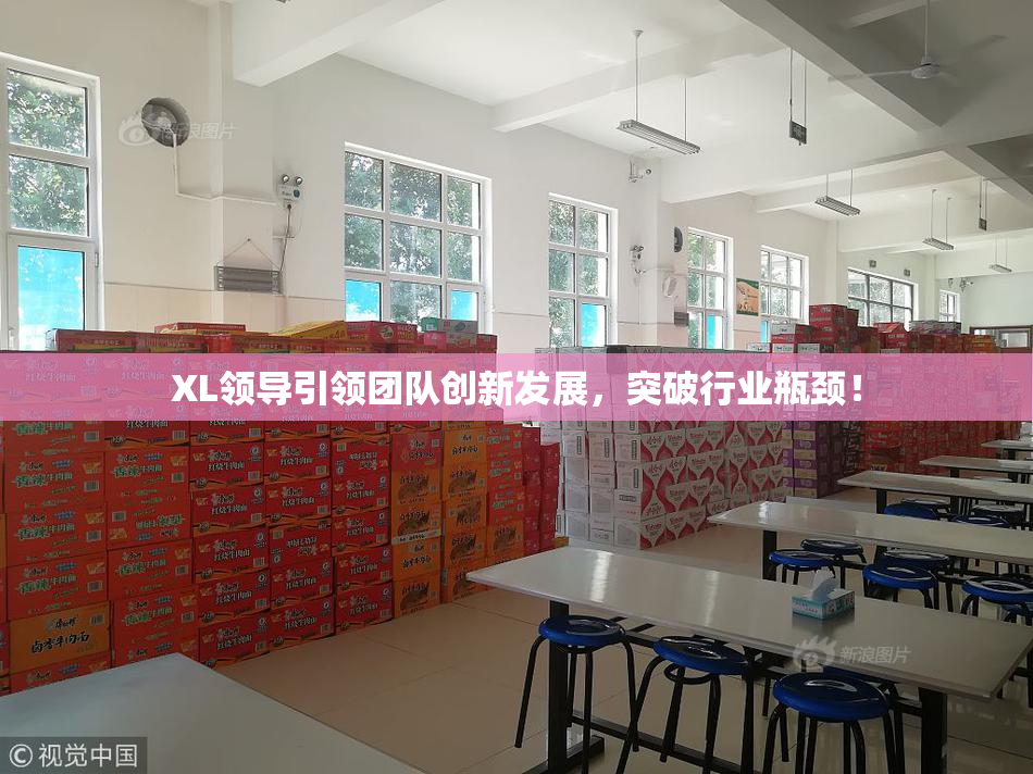 XL领导引领团队创新发展，突破行业瓶颈！