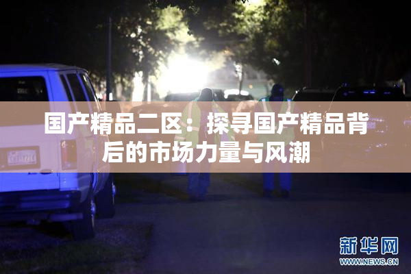 国产精品二区：探寻国产精品背后的市场力量与风潮