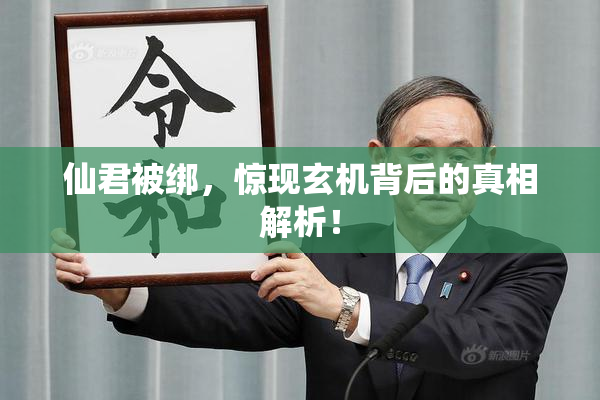 仙君被绑，惊现玄机背后的真相解析！