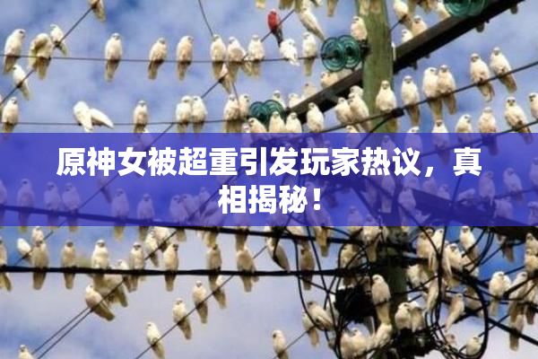 原神女被超重引发玩家热议，真相揭秘！