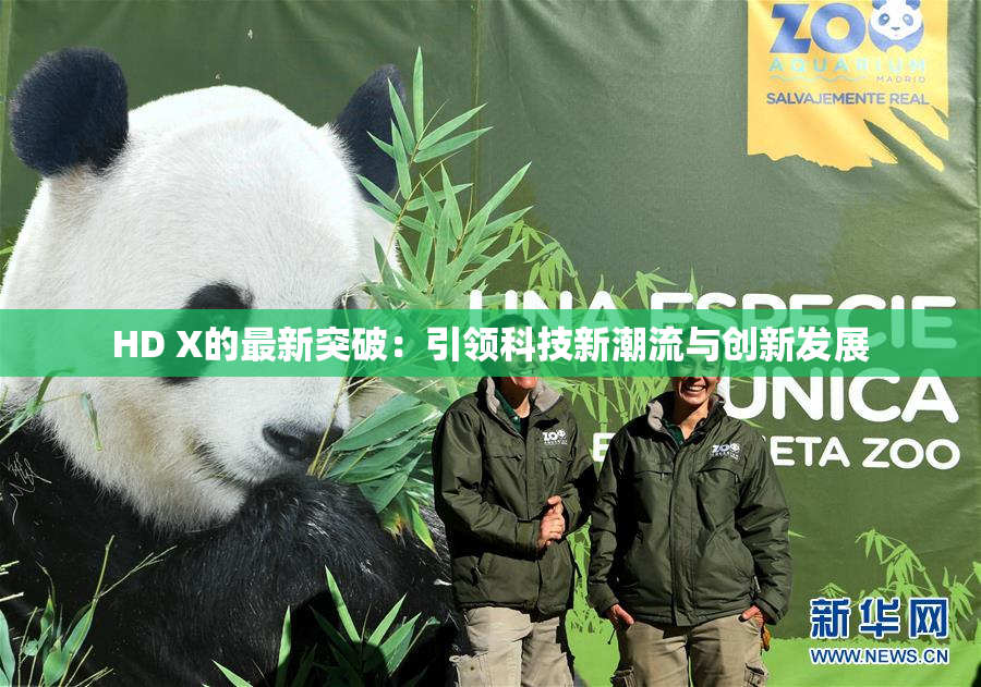 HD X的最新突破：引领科技新潮流与创新发展