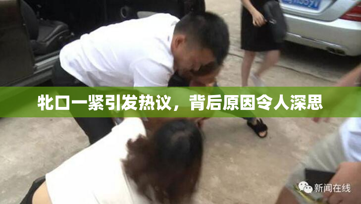 牝口一紧引发热议，背后原因令人深思