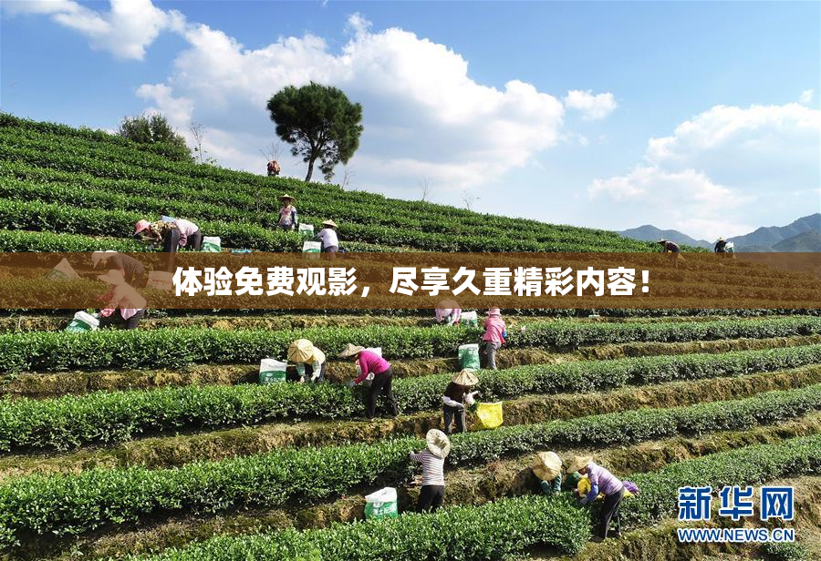 体验免费观影，尽享久重精彩内容！