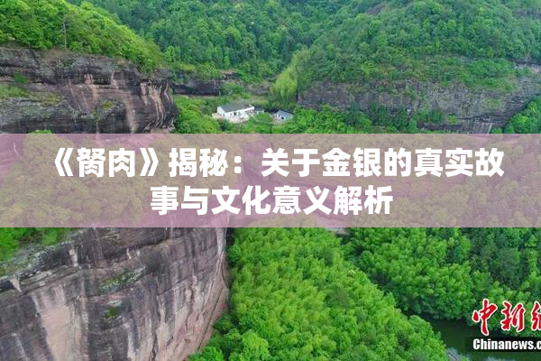 《胬肉》揭秘：关于金银的真实故事与文化意义解析