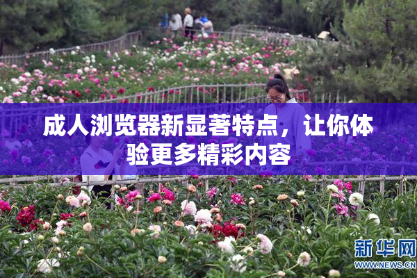 成人浏览器新显著特点，让你体验更多精彩内容