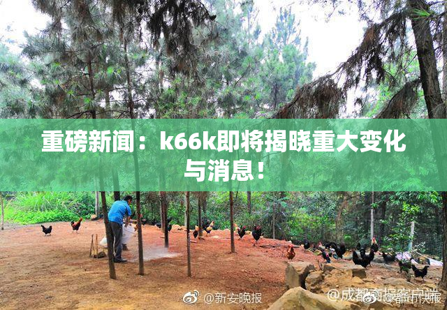 重磅新闻：k66k即将揭晓重大变化与消息！