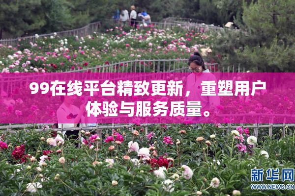 99在线平台精致更新，重塑用户体验与服务质量。