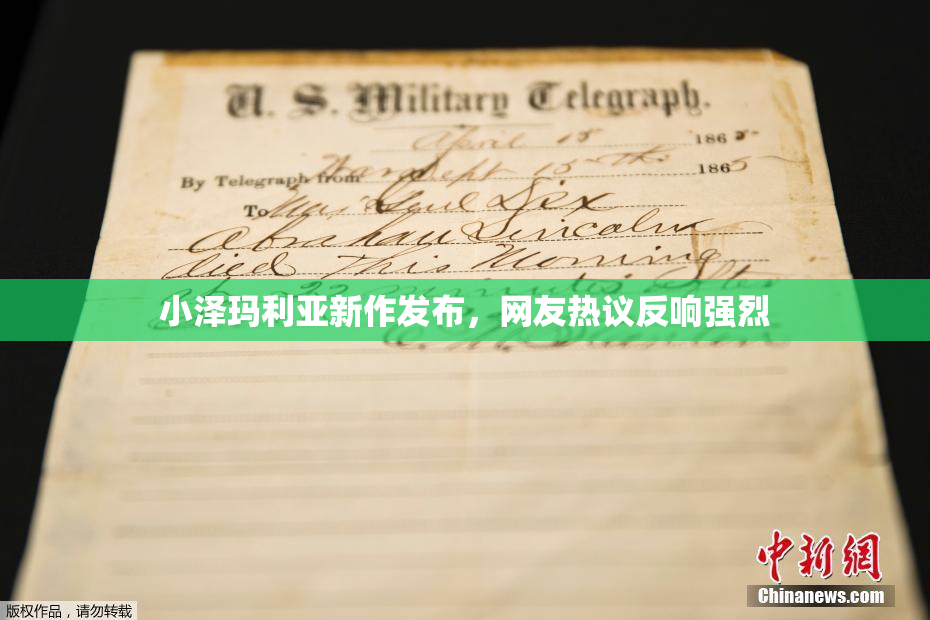 小泽玛利亚新作发布，网友热议反响强烈