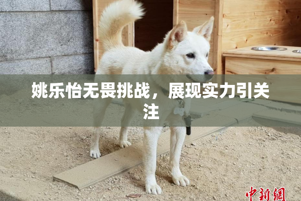 姚乐怡无畏挑战，展现实力引关注