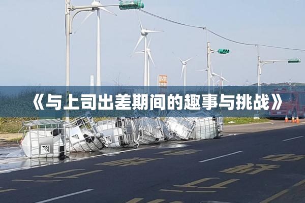 《与上司出差期间的趣事与挑战》
