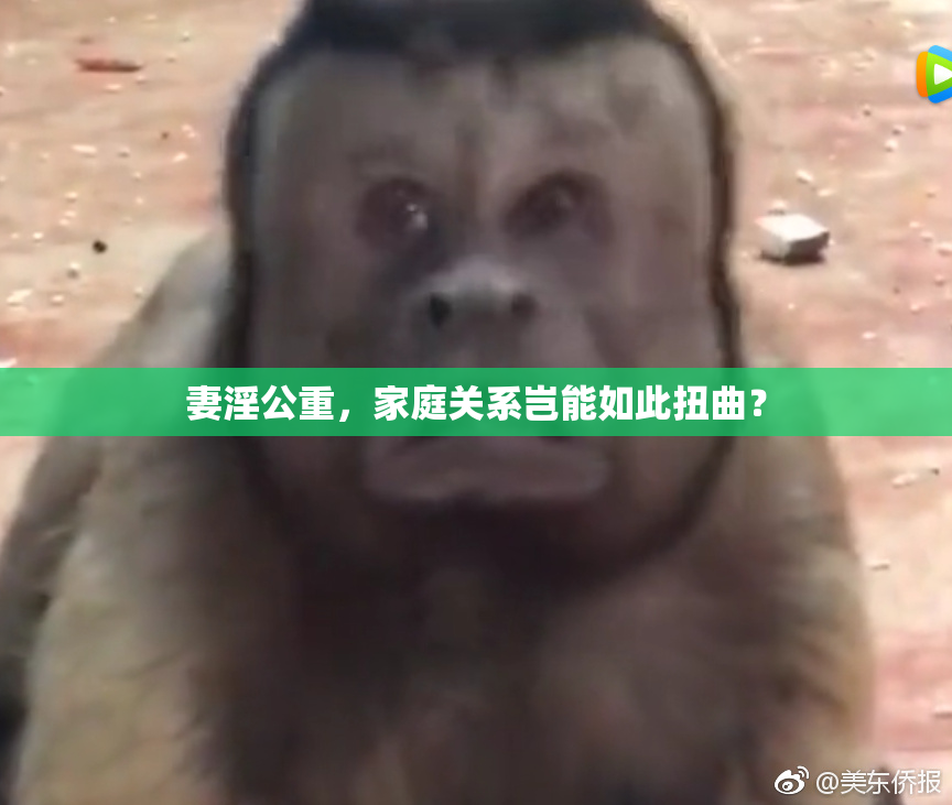 妻淫公重，家庭关系岂能如此扭曲？