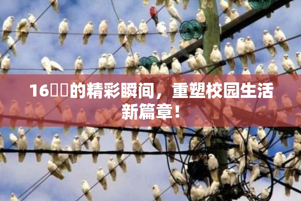 16妺妺的精彩瞬间，重塑校园生活新篇章！