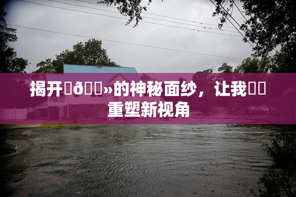 揭开‌🐻的神秘面纱，让我❌‌重塑新视角