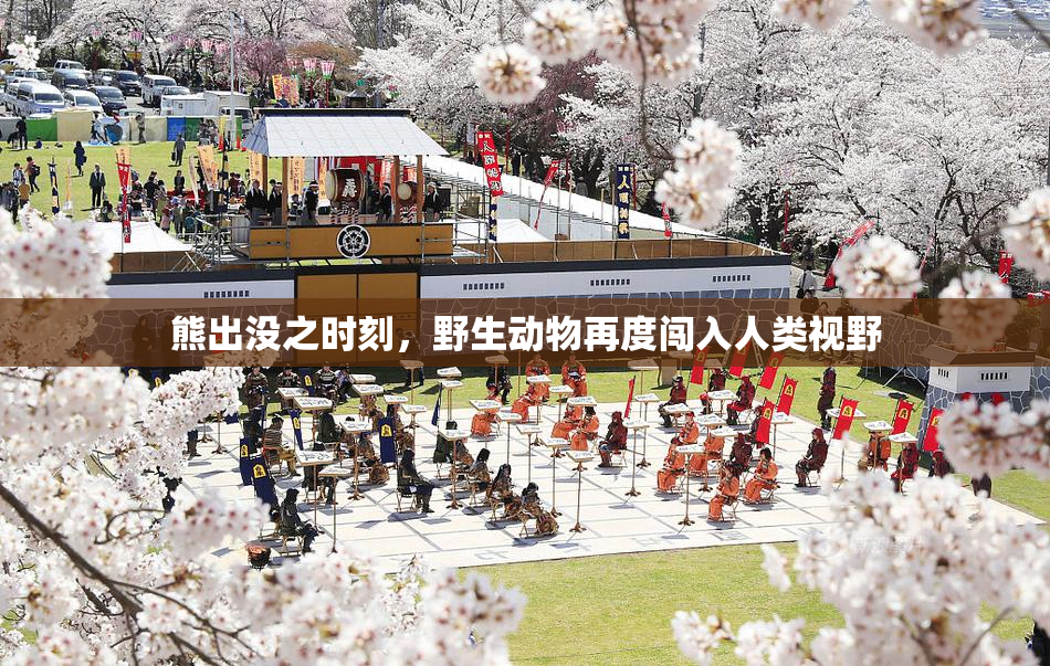 熊出没之时刻，野生动物再度闯入人类视野