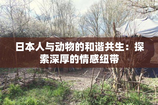 日本人与动物的和谐共生：探索深厚的情感纽带