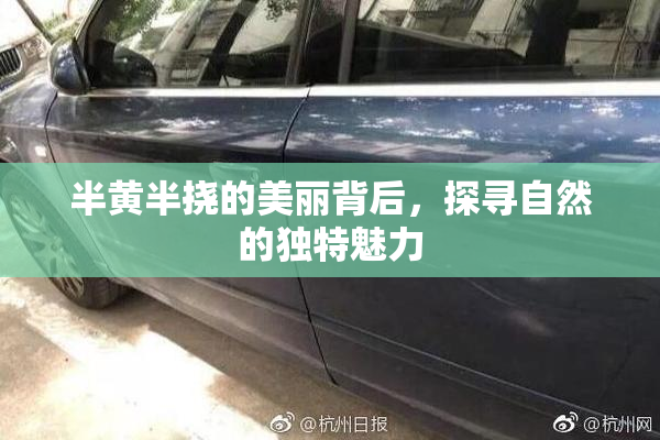 半黄半挠的美丽背后，探寻自然的独特魅力