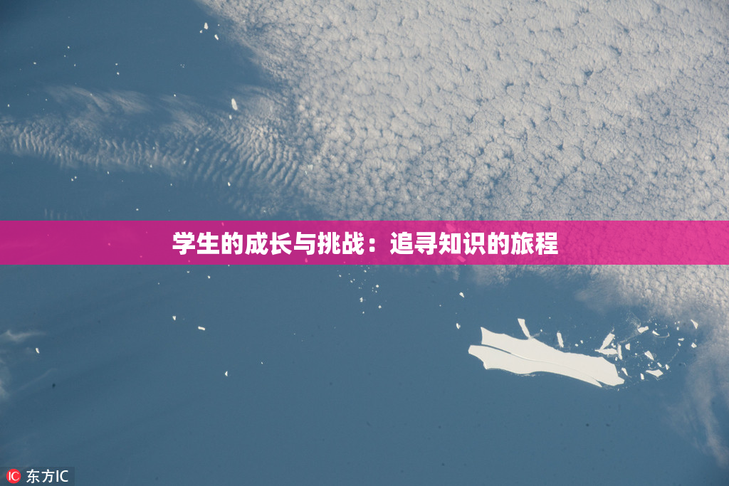 学生的成长与挑战：追寻知识的旅程