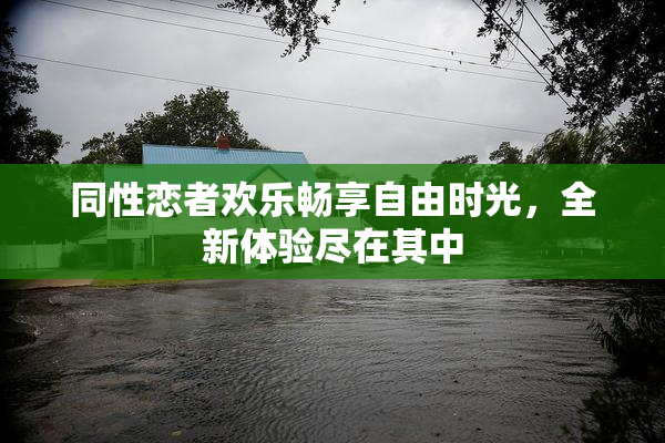 同性恋者欢乐畅享自由时光，全新体验尽在其中