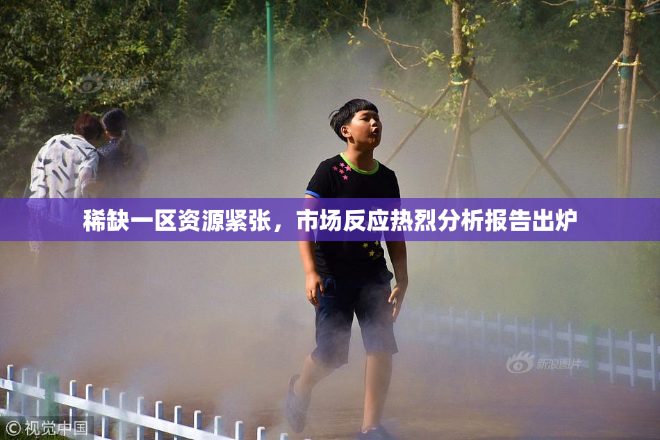 稀缺一区资源紧张，市场反应热烈分析报告出炉