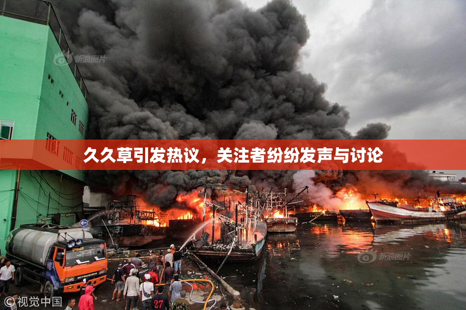 久久草引发热议，关注者纷纷发声与讨论