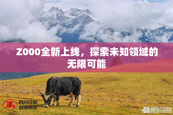 Z000全新上线，探索未知领域的无限可能