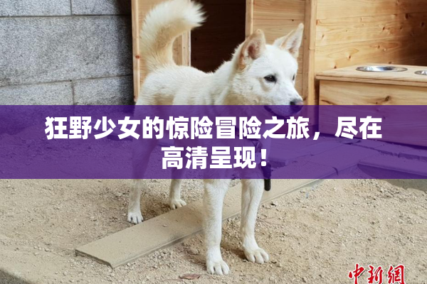 狂野少女的惊险冒险之旅，尽在高清呈现！