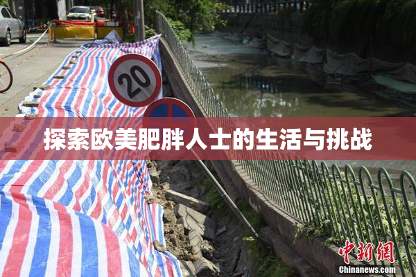 探索欧美肥胖人士的生活与挑战