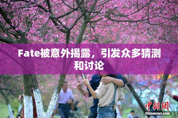 Fate被意外揭露，引发众多猜测和讨论