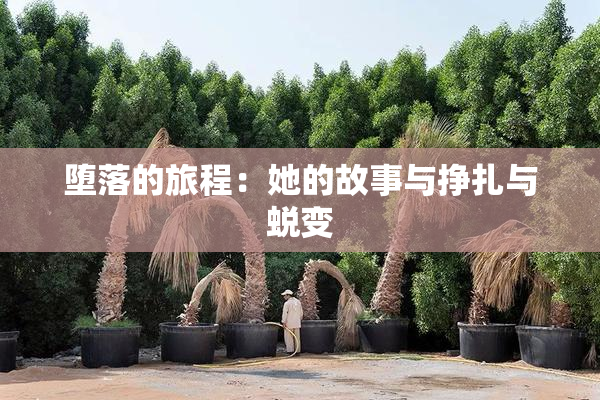 堕落的旅程：她的故事与挣扎与蜕变
